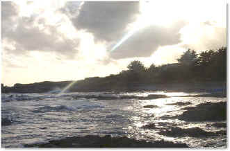 wpe7B.jpg (23793 Byte)