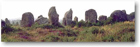 wpeBD.jpg (10465 Byte)