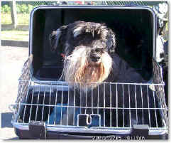 wpeBF.jpg (23525 Byte)