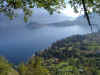 10140029.jpg (183397 Byte)